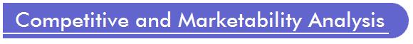 Competitive Analysis, Market Analysis for electronic security products