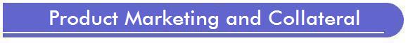 CCTV, Video Surveillance, Electronic Security Marketing and collateral
