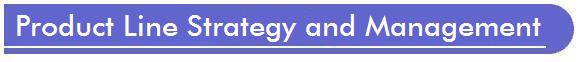 Product line strategy and product management services for electronic security