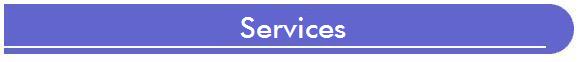 Services page for R. Grossman and Associates, featuring the variety of choices we provide our electronic security consulting clients.